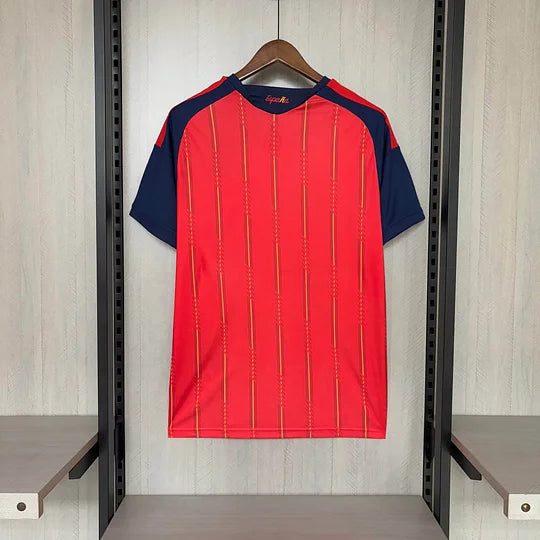 camiseta deportiva españa