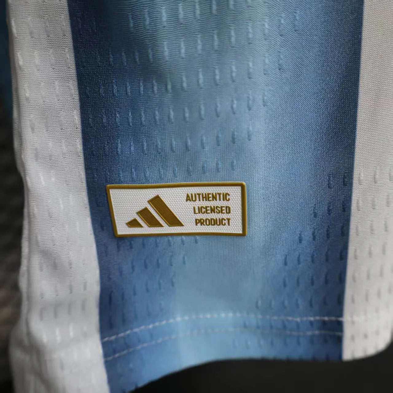 camiseta deportiva de argentina