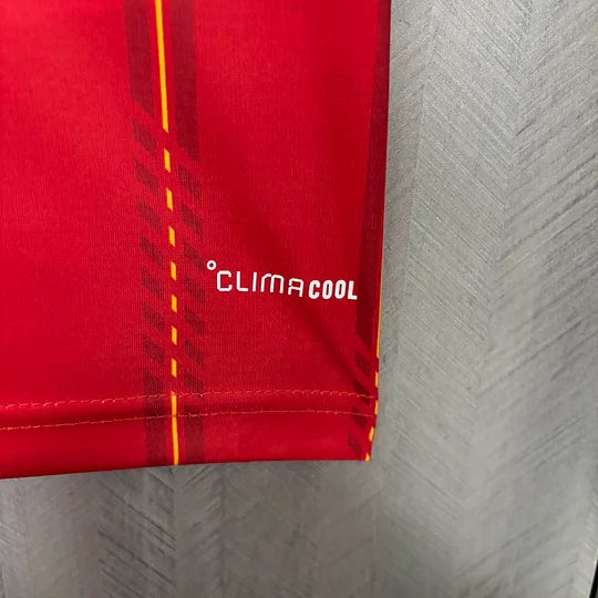 camiseta deportiva españa